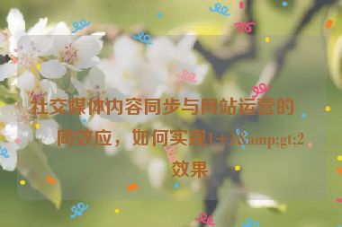 社交媒體內(nèi)容同步與網(wǎng)站運營的協(xié)同效應(yīng)，如何實現(xiàn)1+1&gt;2的效果
