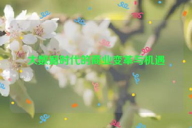 大數(shù)據(jù)時(shí)代的商業(yè)變革與機(jī)遇