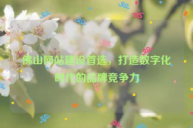 佛山網(wǎng)站建設(shè)首選，打造數(shù)字化時(shí)代的品牌競(jìng)爭(zhēng)力