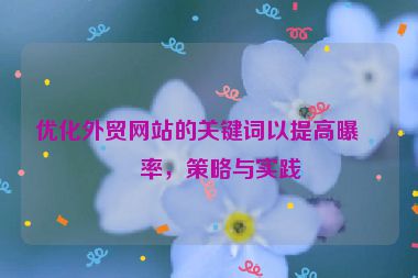 優(yōu)化外貿(mào)網(wǎng)站的關(guān)鍵詞以提高曝光率，策略與實(shí)踐