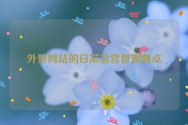 外貿(mào)網(wǎng)站的日常運(yùn)營管理要點(diǎn)