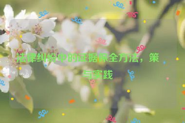 法律糾紛中的證據(jù)保全方法，策略與實踐