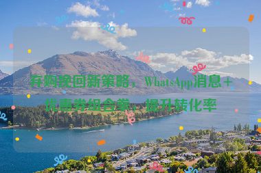 棄購(gòu)?fù)旎匦虏呗裕琖hatsApp消息+優(yōu)惠券組合拳，提升轉(zhuǎn)化率