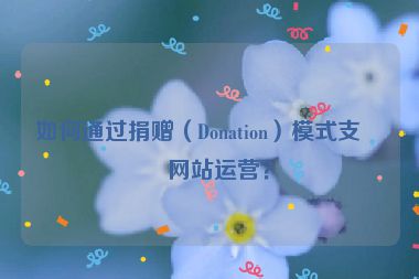 如何通過捐贈（Donation）模式支持網(wǎng)站運營？