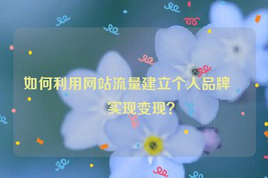 如何利用網(wǎng)站流量建立個(gè)人品牌并實(shí)現(xiàn)變現(xiàn)？