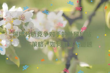 深度分析競爭對手的外貿(mào)網(wǎng)站推廣策略，如何借鑒與超越