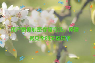 用戶數(shù)據(jù)加密存儲(chǔ)方法，保障數(shù)據(jù)安全的關(guān)鍵技術(shù)