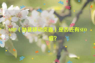 AMP（加速移動頁面）是否還有SEO價值？