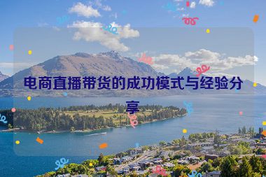 電商直播帶貨的成功模式與經(jīng)驗(yàn)分享