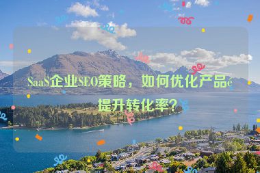SaaS企業(yè)SEO策略，如何優(yōu)化產(chǎn)品頁(yè)提升轉(zhuǎn)化率？