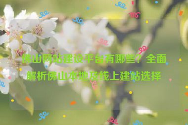 佛山網(wǎng)站建設(shè)平臺有哪些？全面解析佛山本地及線上建站選擇