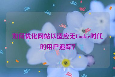 如何優(yōu)化網(wǎng)站以適應(yīng)無(wú)Cookie時(shí)代的用戶追蹤？