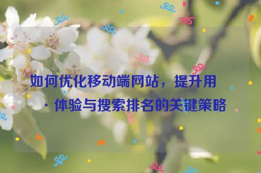 如何優(yōu)化移動端網(wǎng)站，提升用戶體驗與搜索排名的關(guān)鍵策略