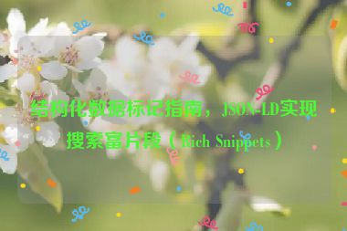 結構化數(shù)據(jù)標記指南，JSON-LD實現(xiàn)搜索富片段（Rich Snippets）