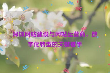 深圳網(wǎng)站建設(shè)與網(wǎng)站運營商，數(shù)字化轉(zhuǎn)型的關(guān)鍵推手