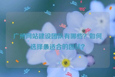 廣州網(wǎng)站建設(shè)團(tuán)隊有哪些？如何選擇最適合的團(tuán)隊？