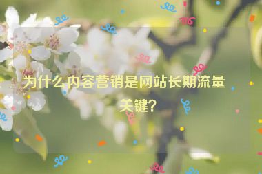 為什么內(nèi)容營銷是網(wǎng)站長期流量的關(guān)鍵？