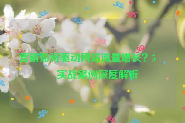 營銷如何驅(qū)動(dòng)網(wǎng)站流量增長？5個(gè)實(shí)戰(zhàn)案例深度解析