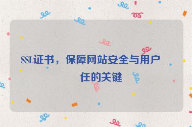 SSL證書(shū)，保障網(wǎng)站安全與用戶(hù)信任的關(guān)鍵
