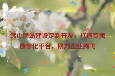 佛山網(wǎng)站建設(shè)定制開(kāi)發(fā)，打造專(zhuān)屬數(shù)字化平臺(tái)，助力企業(yè)騰飛