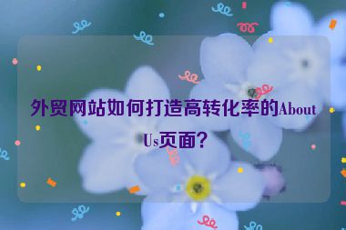 外貿(mào)網(wǎng)站如何打造高轉(zhuǎn)化率的About Us頁面？