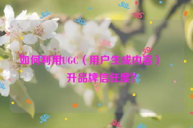 如何利用UGC（用戶生成內(nèi)容）提升品牌信任度？