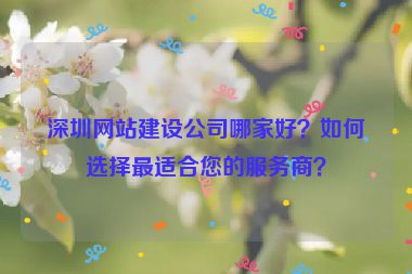 深圳網(wǎng)站建設(shè)公司哪家好？如何選擇最適合您的服務(wù)商？