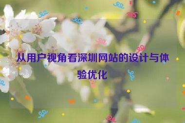 從用戶視角看深圳網(wǎng)站的設計與體驗優(yōu)化