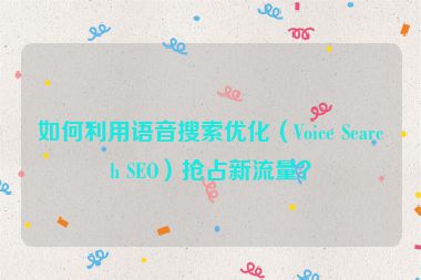 如何利用語音搜索優(yōu)化（Voice Search SEO）搶占新流量？
