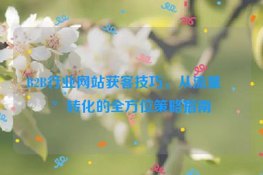 B2B行業(yè)網(wǎng)站獲客技巧，從流量到轉(zhuǎn)化的全方位策略指南