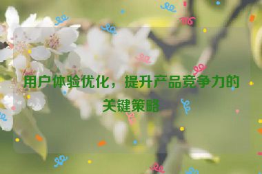 用戶體驗(yàn)優(yōu)化，提升產(chǎn)品競爭力的關(guān)鍵策略