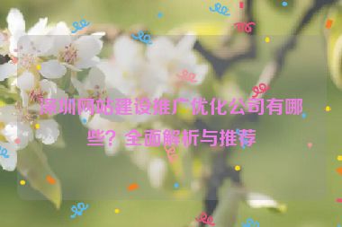 深圳網(wǎng)站建設(shè)推廣優(yōu)化公司有哪些？全面解析與推薦