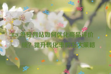 B2C外貿(mào)網(wǎng)站如何優(yōu)化商品評價系統(tǒng)？提升轉(zhuǎn)化率的五大策略