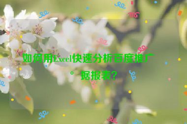 如何用Excel快速分析百度推廣數(shù)據(jù)報表？