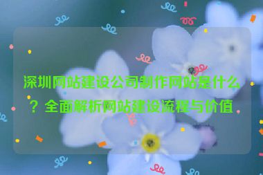 深圳網(wǎng)站建設(shè)公司制作網(wǎng)站是什么？全面解析網(wǎng)站建設(shè)流程與價(jià)值