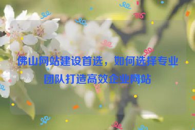 佛山網(wǎng)站建設(shè)首選，如何選擇專(zhuān)業(yè)團(tuán)隊(duì)打造高效企業(yè)網(wǎng)站