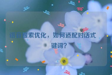 語音搜索優(yōu)化，如何適配對話式關鍵詞？