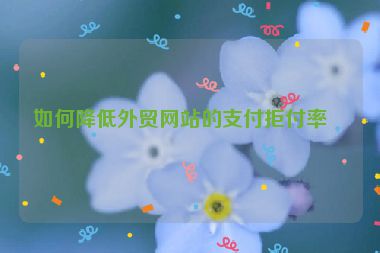 如何降低外貿(mào)網(wǎng)站的支付拒付率？