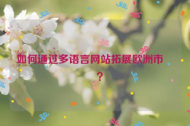 如何通過多語言網(wǎng)站拓展歐洲市場？