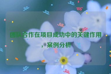 團(tuán)隊(duì)合作在項(xiàng)目成功中的關(guān)鍵作用，案例分析
