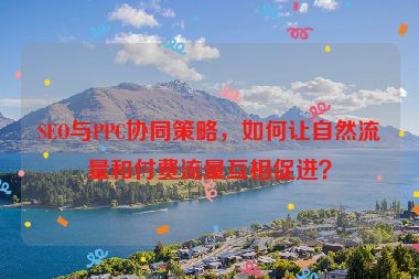SEO與PPC協(xié)同策略，如何讓自然流量和付費(fèi)流量互相促進(jìn)？