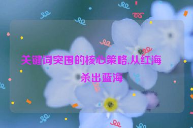 關(guān)鍵詞突圍的核心策略,從紅海中殺出藍(lán)海