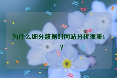 為什么細分數(shù)據(jù)對網(wǎng)站分析很重要？