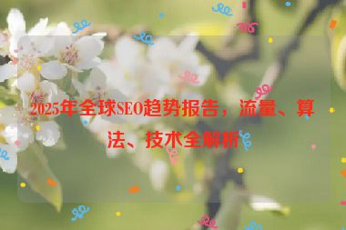 2025年全球SEO趨勢(shì)報(bào)告，流量、算法、技術(shù)全解析