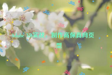 Adobe XD實戰(zhàn)，制作高保真網(wǎng)頁原型