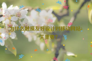 為什么觸摸友好設(shè)計對移動網(wǎng)站至關(guān)重要？