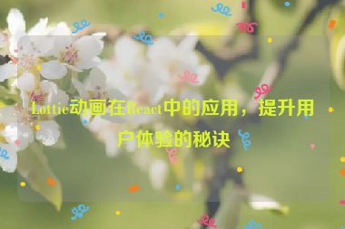 Lottie動(dòng)畫(huà)在React中的應(yīng)用，提升用戶體驗(yàn)的秘訣