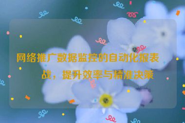 網(wǎng)絡(luò)推廣數(shù)據(jù)監(jiān)控的自動(dòng)化報(bào)表實(shí)戰(zhàn)，提升效率與精準(zhǔn)決策