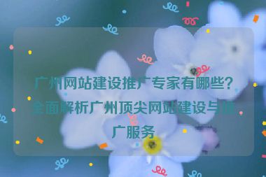 廣州網(wǎng)站建設(shè)推廣專(zhuān)家有哪些？全面解析廣州頂尖網(wǎng)站建設(shè)與推廣服務(wù)