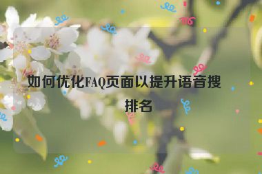 如何優(yōu)化FAQ頁面以提升語音搜索排名